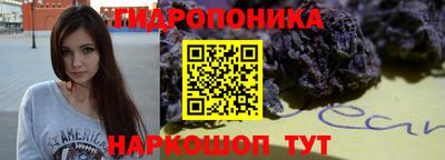индика Кулебаки