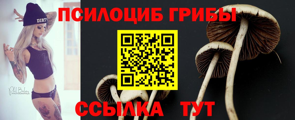 Псилоцибиновые грибы ЛСД Рязань